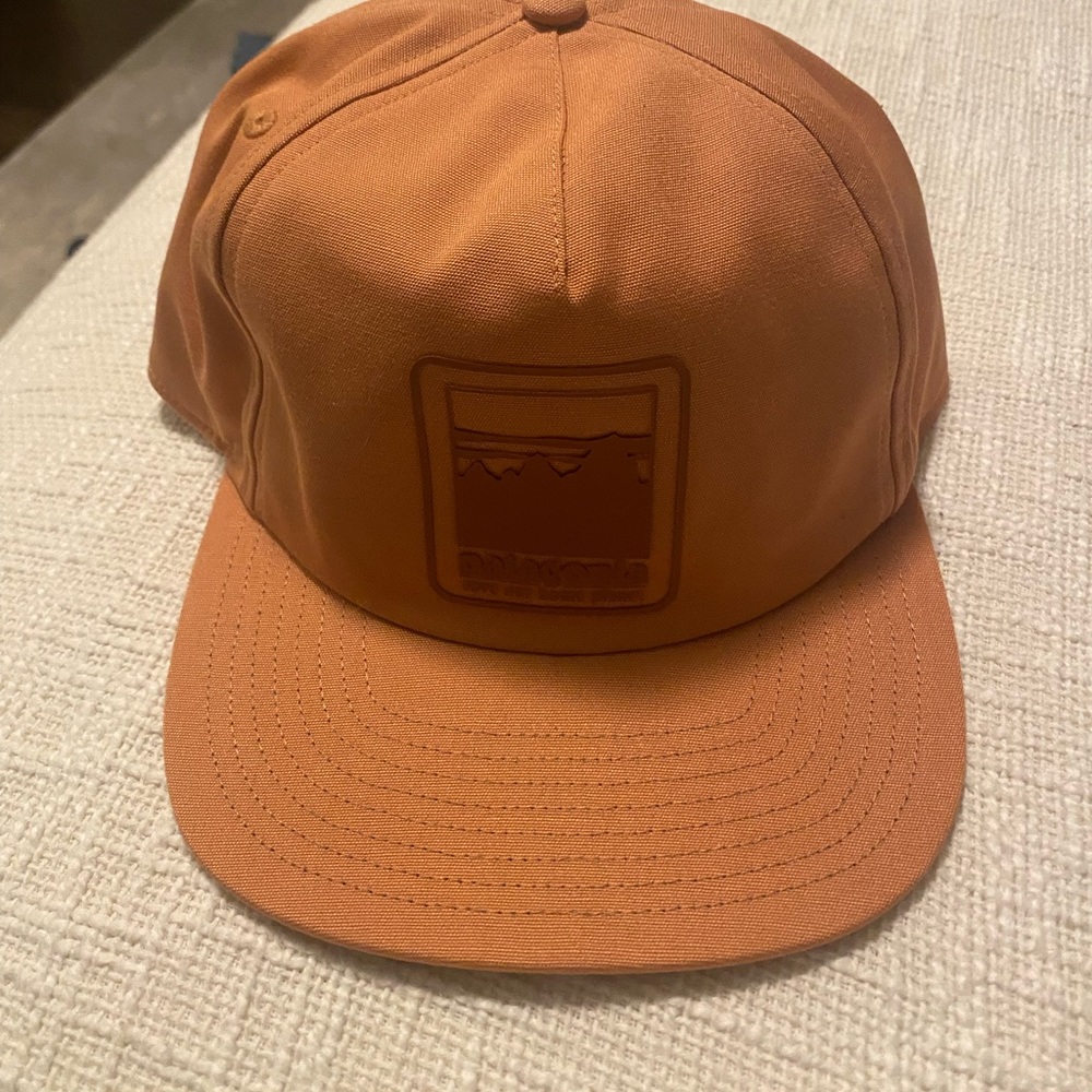 Patagonia snap back hat